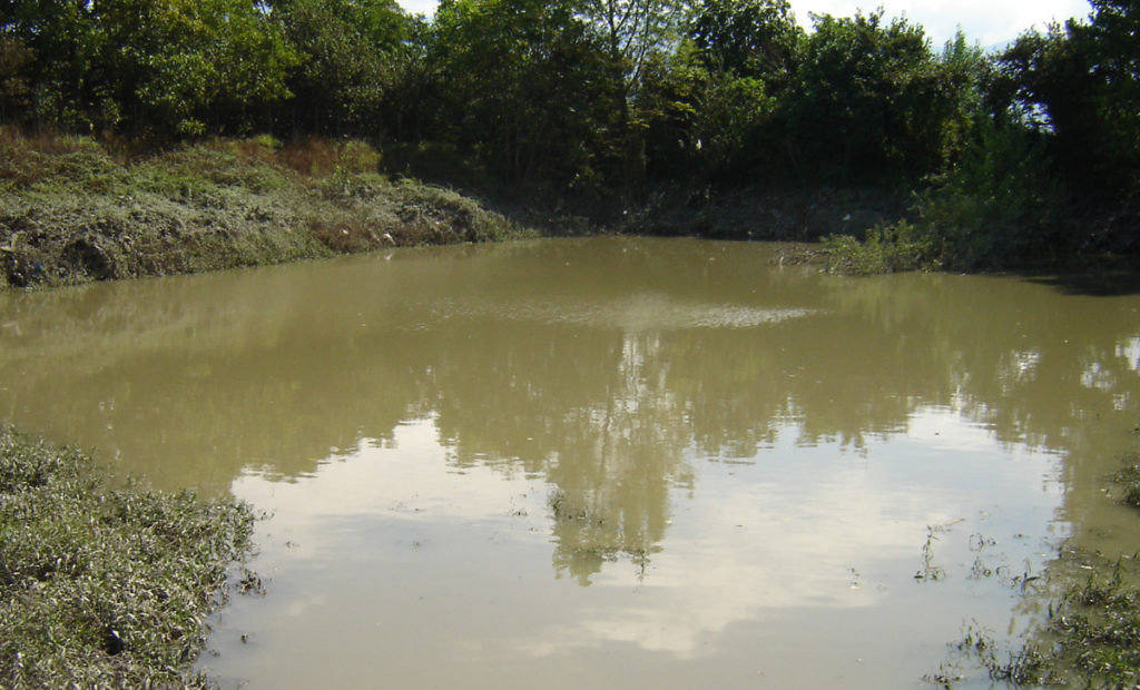 contaminazione da cloruro di vinile