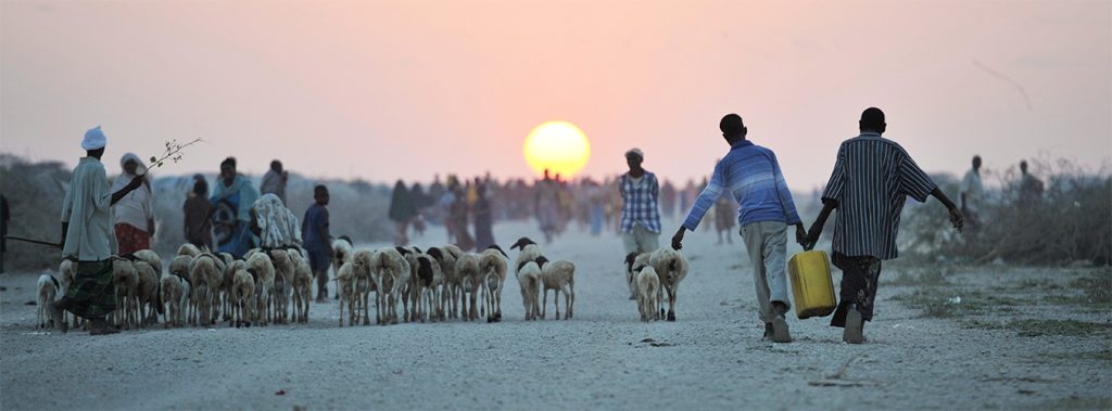 giornata mondiale dell'acqua in tempo di coronavirus